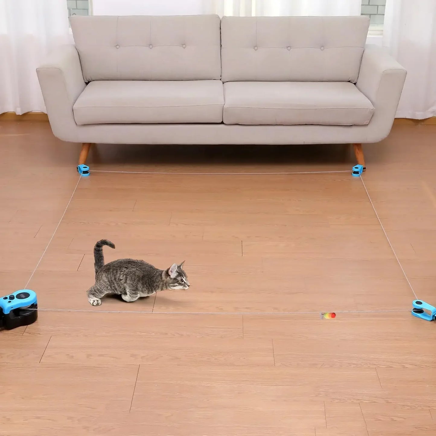 Interactive Indoor Cat Excerciser