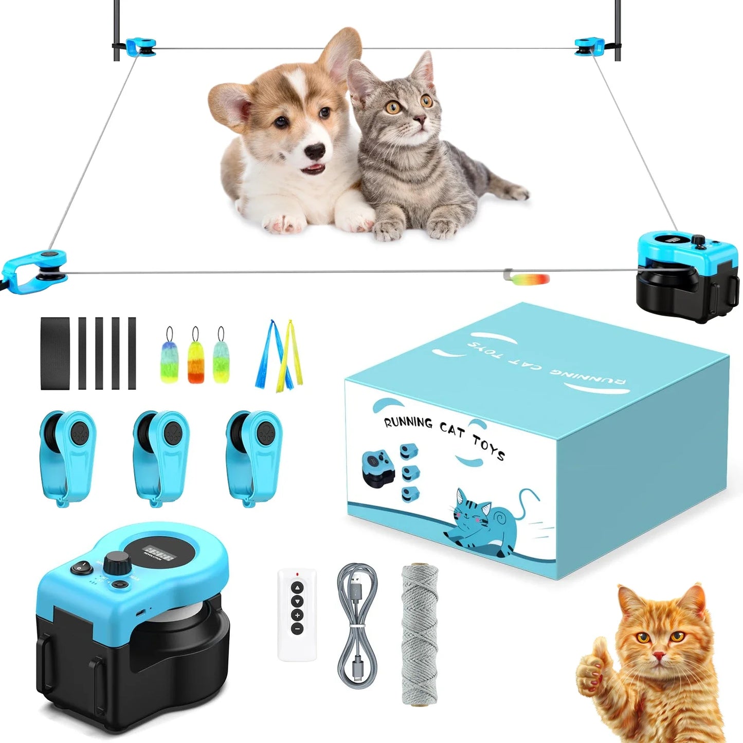 Interactive Indoor Cat Excerciser